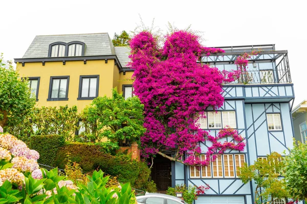 Europeiska traditionella hus dekorerad med växter — Stockfoto