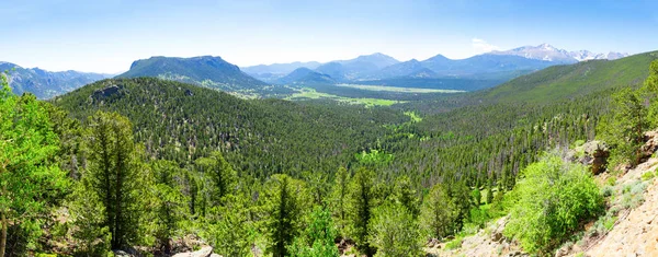 Bosque verde y montañas rocosas — Foto de Stock