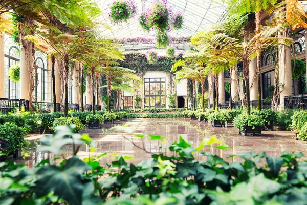 Vacker trädgård växthus — Stockfoto