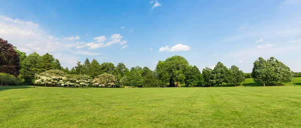 Färsk äng landskap — Stockfoto