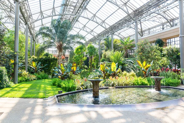 Beautiful garden greenhouse — Stock Photo, Image