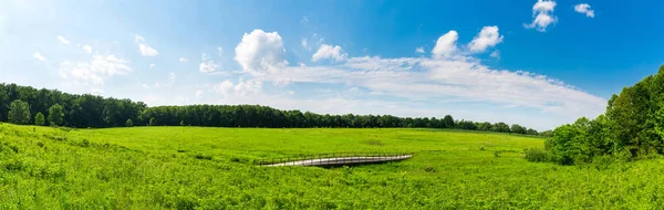 Fresh meadow landscape — Stock Photo, Image