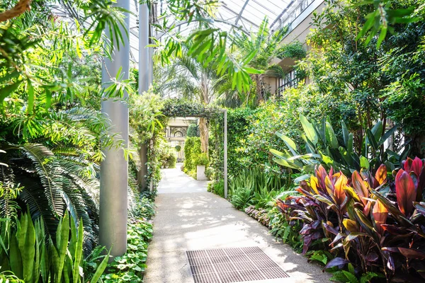 美しい庭の温室 — ストック写真