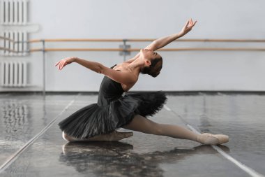 graceful and beautiful ballerina clipart