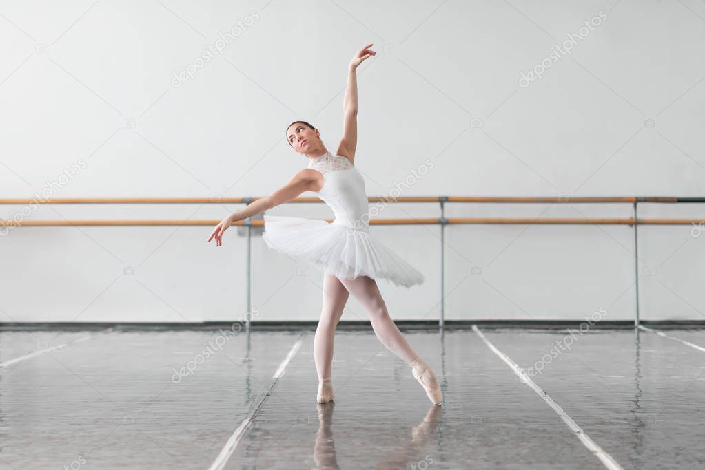 graceful and beautiful ballerina