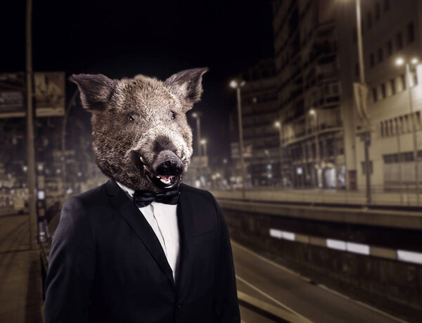 groom in suit with boar head