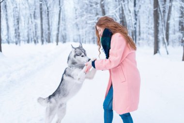 genç kadın ve Sibirya husky köpek