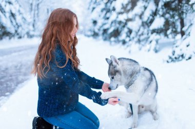genç kadın ve Sibirya husky köpek