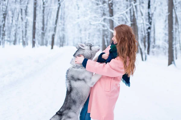Wanita muda dan anjing serak siberia — Stok Foto
