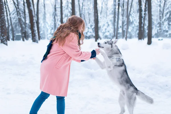 Młoda kobieta i siberian husky pies — Zdjęcie stockowe