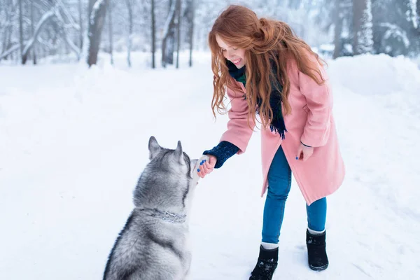 Jovem mulher e siberiano cão husky — Fotografia de Stock