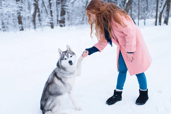 Mladá žena a sibiřský husky pes — Stock fotografie