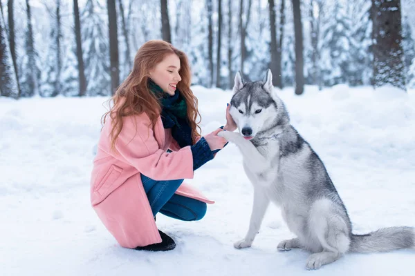 若い女性とシベリアン ハスキー犬 — ストック写真