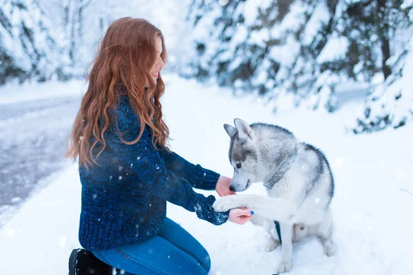 Genç kadın ve Sibirya husky köpek — Stok fotoğraf