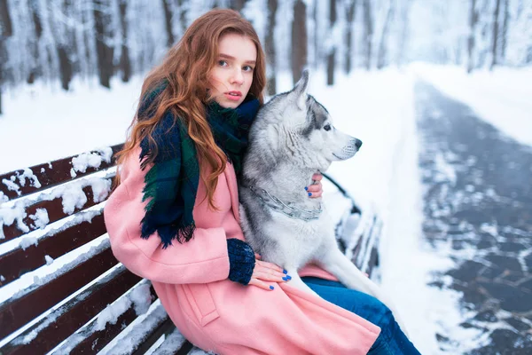 젊은 여자와 시베리안 허스키 개 — 스톡 사진