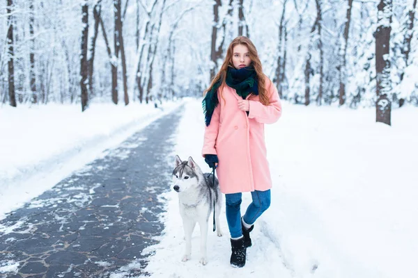 Genç kadın ve Sibirya husky köpek — Stok fotoğraf