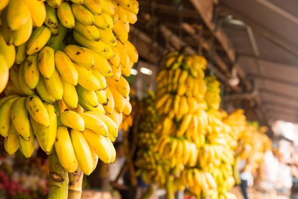 Racimos de plátanos maduros — Foto de Stock