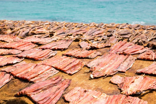 Tuna drying process — Stock Photo, Image