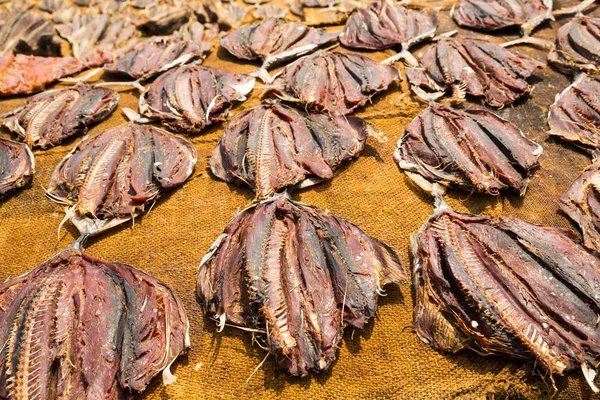 Процесс сушки тунца — стоковое фото