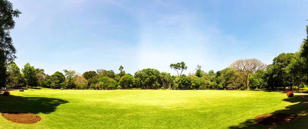 Picturesque green meadow — Stock Photo, Image