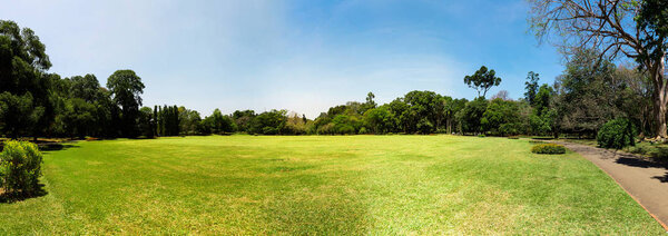Picturesque green meadow anb blue sky, Ceylon. Landscape of Sri Lanka