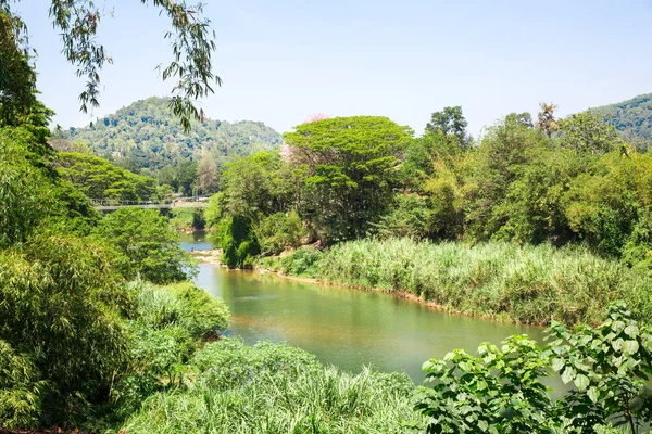 Natura Rzeka i tropikalnych dżungli — Zdjęcie stockowe