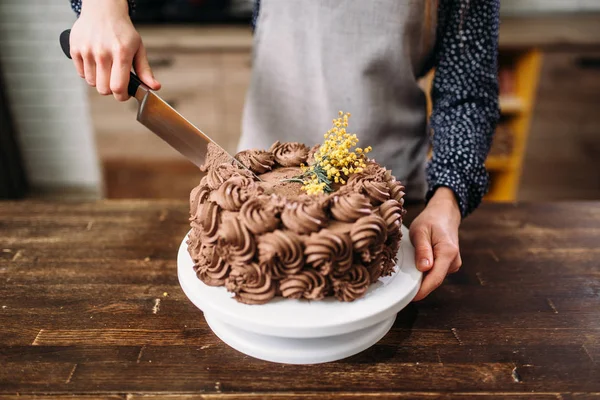 Female hands cutting chocolate cake