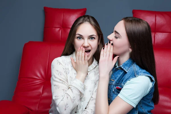 Twee mooie jonge vrouwen. — Stockfoto