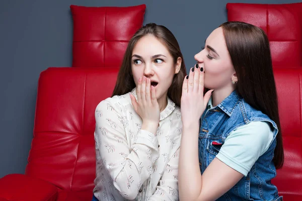 Dos guapas mujeres jóvenes — Foto de Stock