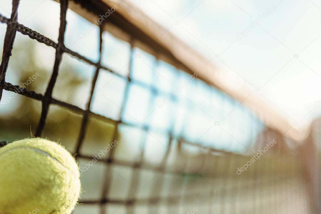 Tennis ball and tennis net