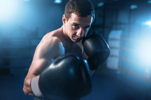 Joven boxeador muscular — Foto de Stock