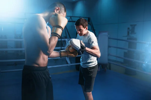 Jóvenes boxeadores musculosos — Foto de Stock