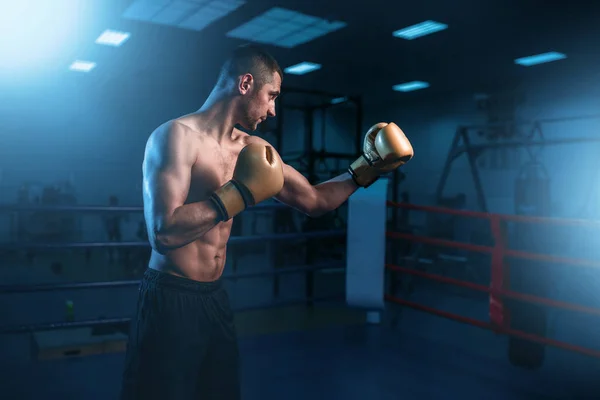Genç kas boksör — Stok fotoğraf