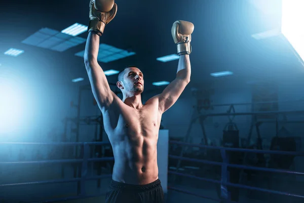 Joven boxeador muscular — Foto de Stock