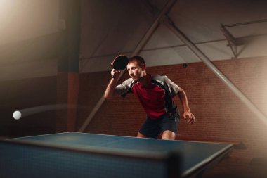 Masa tenis oyuncusu 