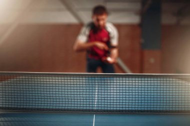 Masa tenis oyuncusu 