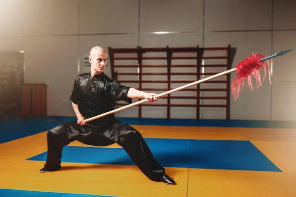 Mannelijke wushu vechter — Stockfoto