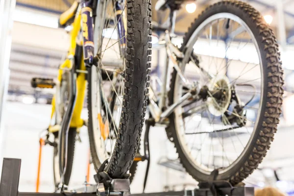 Rack de teto de carro para bicicleta — Fotografia de Stock