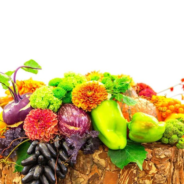 Frutas maduras e composição de flores — Fotografia de Stock