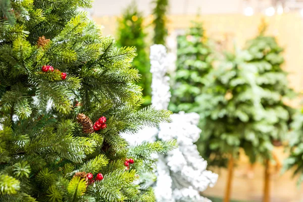 Hermosos árboles de Navidad — Foto de Stock