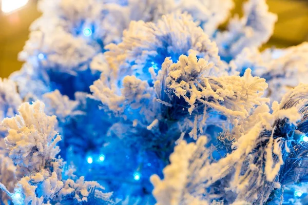 白雪皑皑的圣诞树 — 图库照片