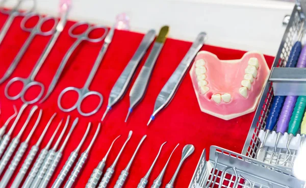 Dental tools and jaw mock up — Stock Photo, Image