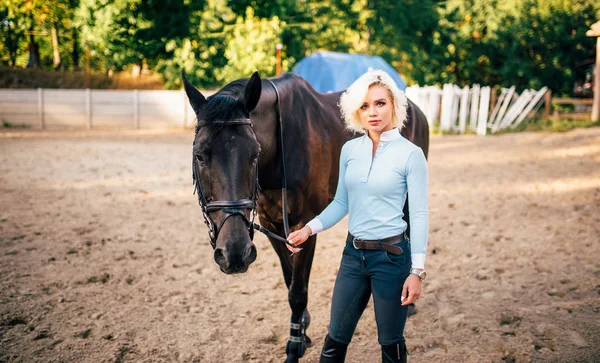 Jockey ledande häst genom tömmarna — Stockfoto