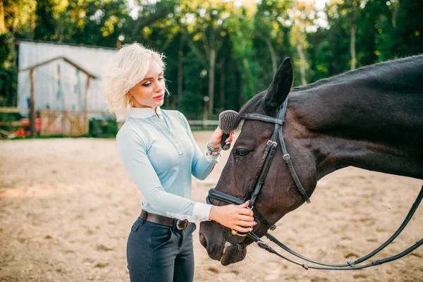 Jockey peinando crin de caballo —  Fotos de Stock