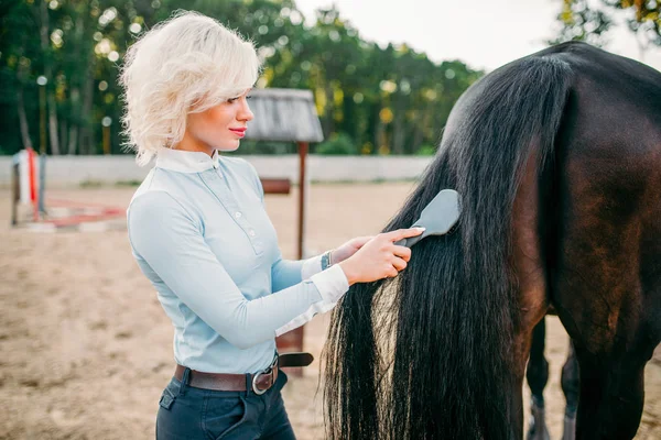 Žokej, česání ocas koně — Stock fotografie