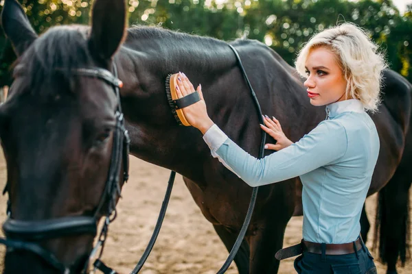 Frau kümmert sich um Pferd — Stockfoto