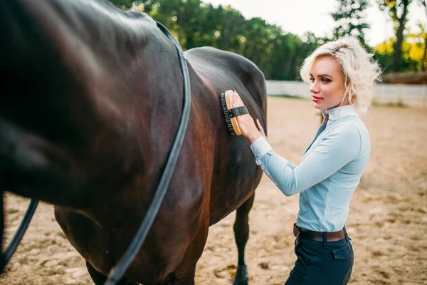 Vrouw het verzorgen van het paard — Stockfoto