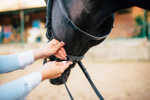 Rukou ženy poklepal koně — Stock fotografie