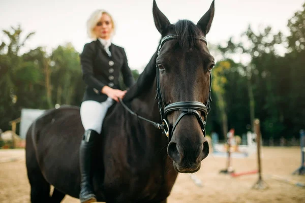 Žena představuje na koni — Stock fotografie