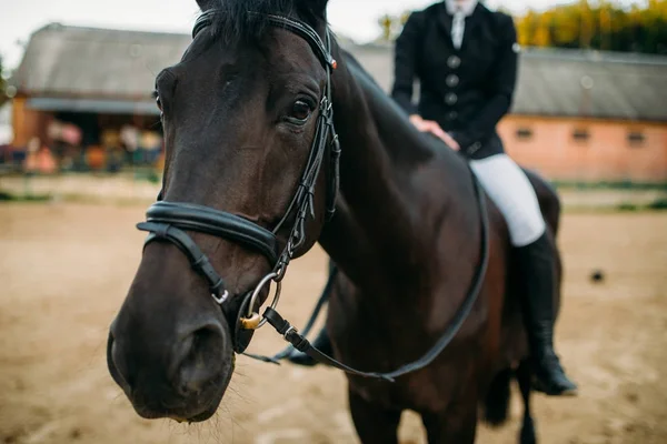 Jeune femme à cheval — Photo